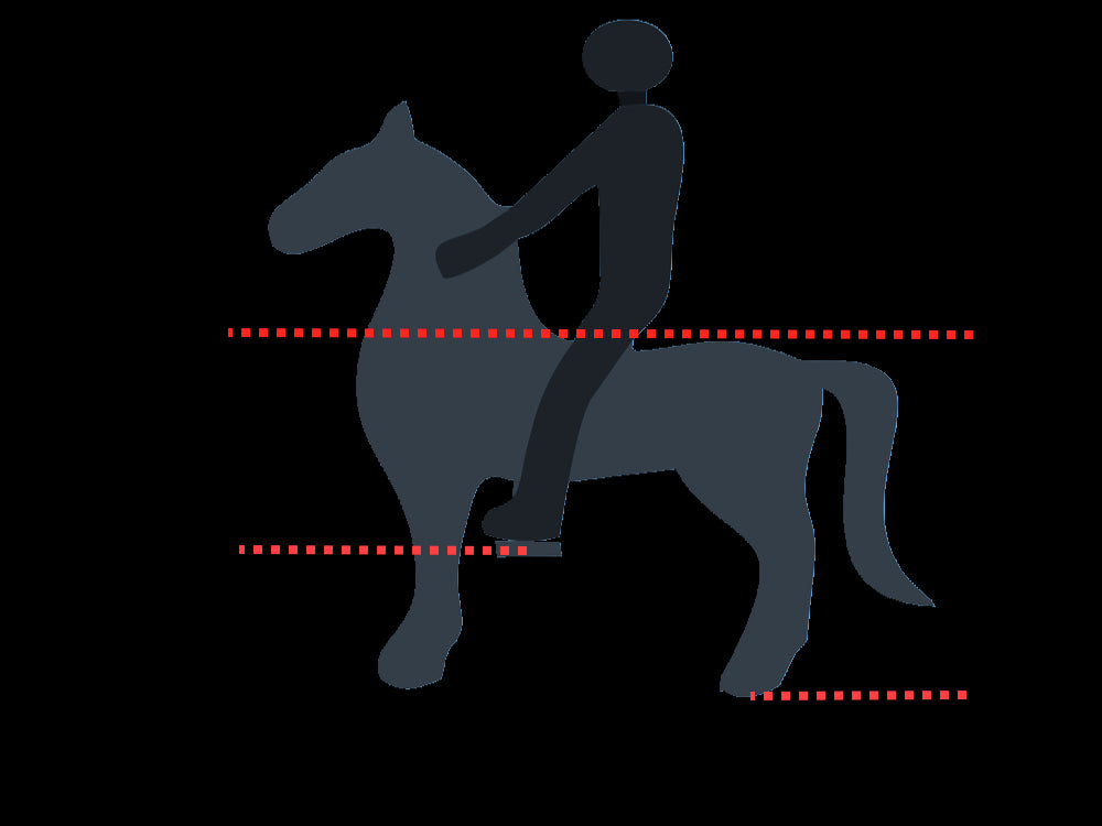 MY PONY Ride-On Horse Toy - Galloping Action for Kids Ages 4-10 (Medium)