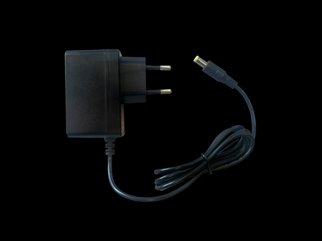 12V 1.0A Lithium Battery Charger for Porsche Spyder RS & Similar Models